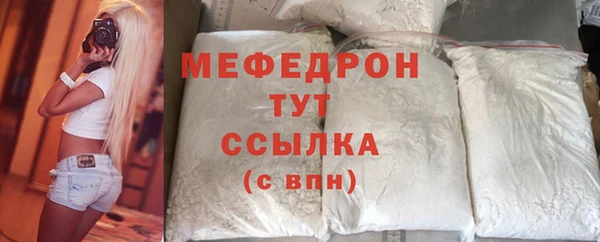 МДПВ Ельня