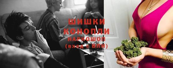 МДПВ Ельня