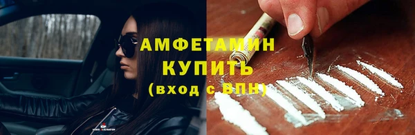 МДПВ Ельня