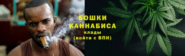 МДПВ Ельня