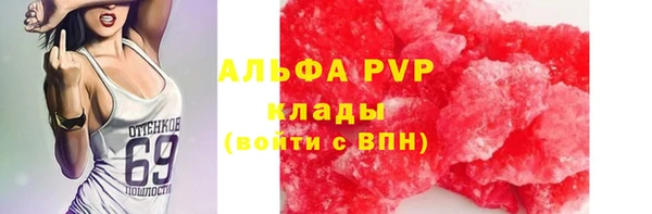 МДПВ Ельня