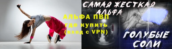 МДПВ Ельня