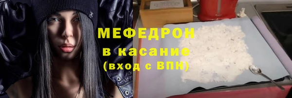 МДПВ Ельня