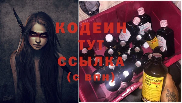 МДПВ Ельня