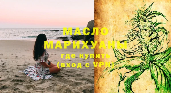 МДПВ Ельня