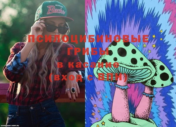 mdpv Елизово