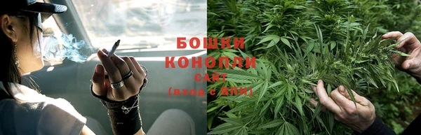 МДПВ Ельня