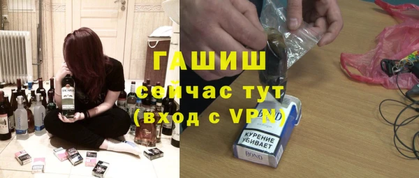 МДПВ Ельня